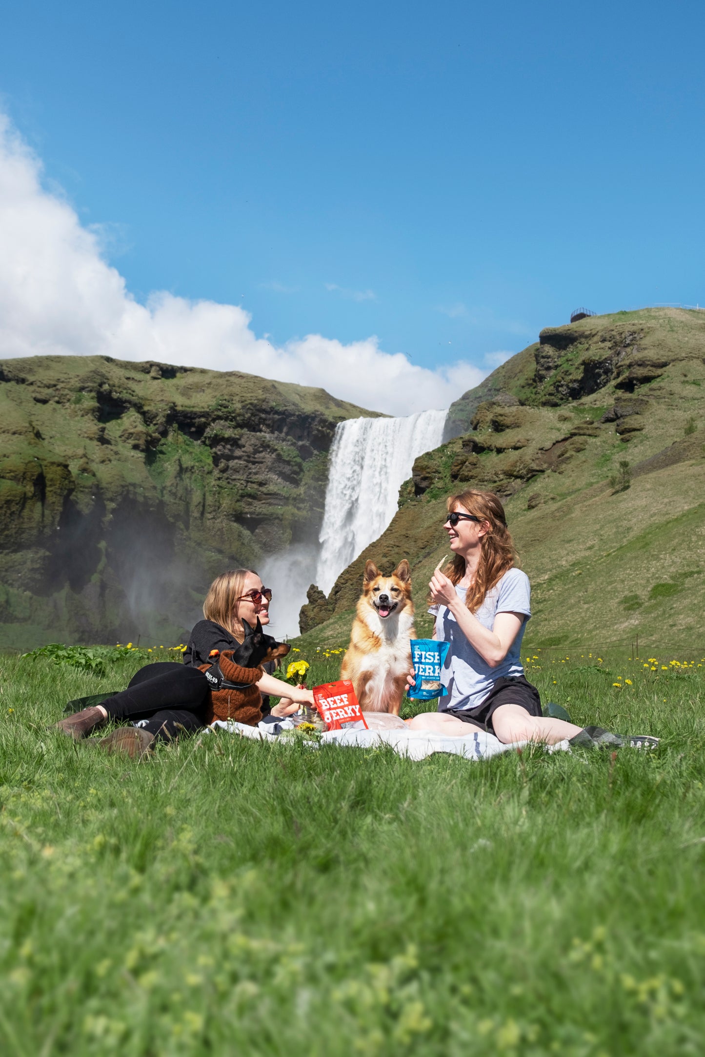 Icelandic Cod Jerky with Sea Salt – Keto-Friendly Snack Option